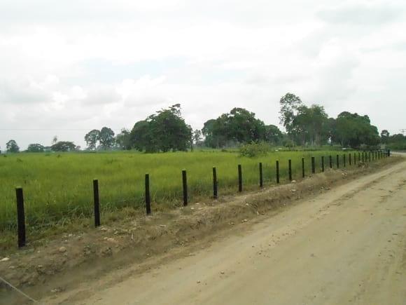 ASESORES EN MANEJO DE PASTIZALES