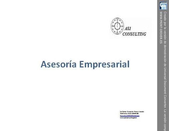 AS1 CONSULTING