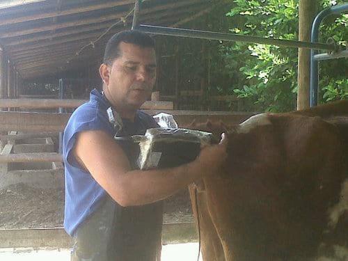 medicina veterinaria