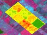 SEGUIMIENTO CULTIVO POR NDVI