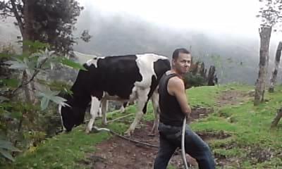 mi finca