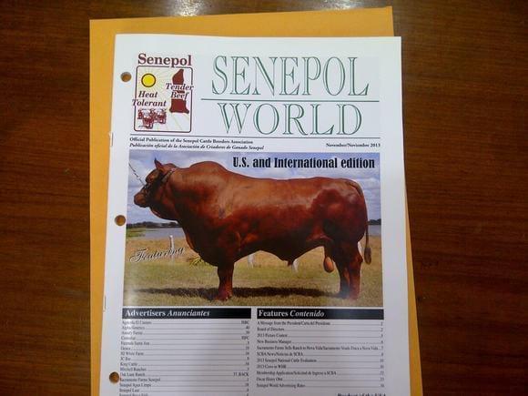 Portada de la revista mundial del senepol.