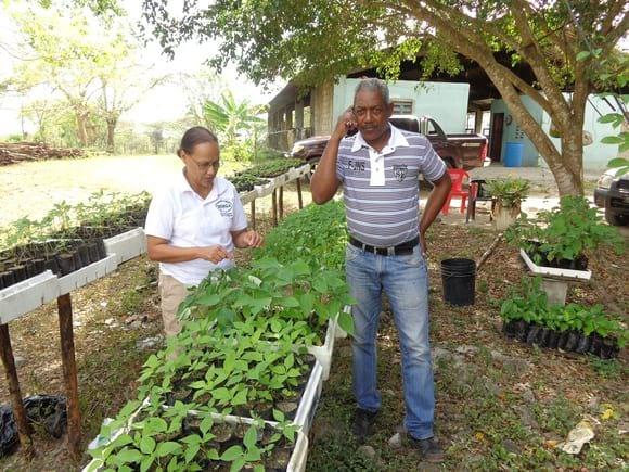 Vivero de plantas arbustivas en la Finca San Luís de la  Dirección General de Ganaderia (Rep. Dom.)