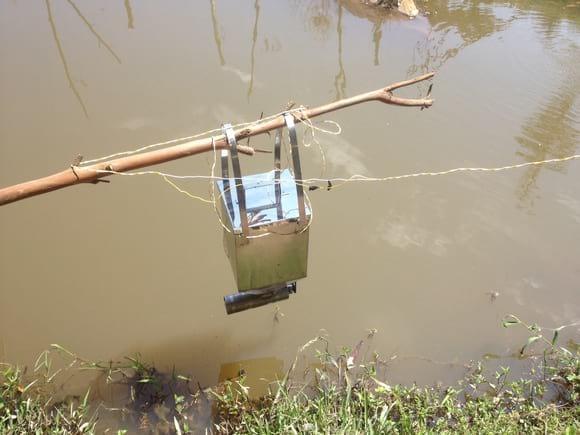 Dispensador de comida para peces