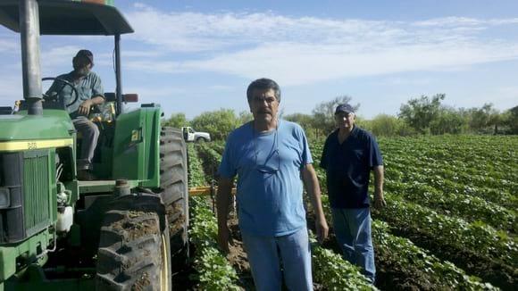 trabajando en el campo