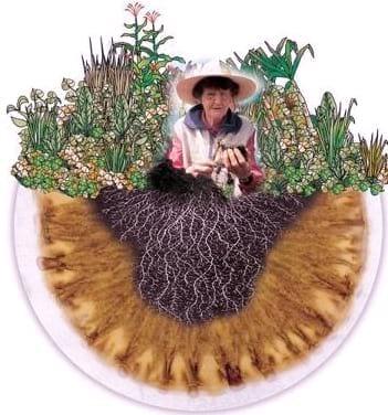 Agricultura Orgánica y Regenerativa