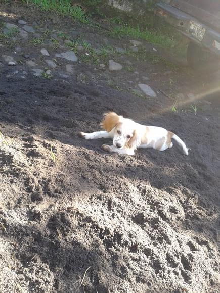MI NENA
