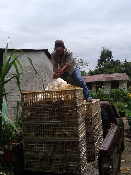 working