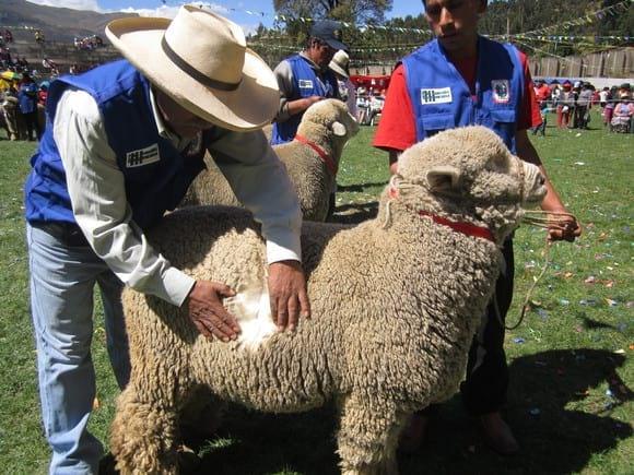 FERIA DE CHIQUIAN - ANCASH