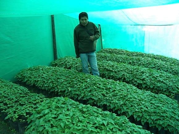 yo en un vivero comunal