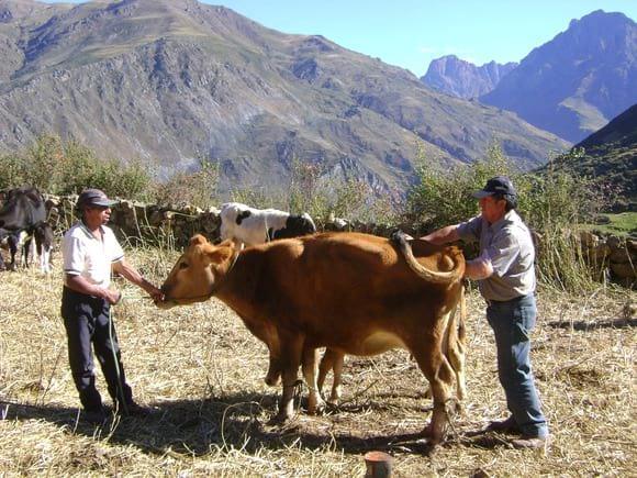 Comunidad Santa Catalina