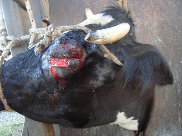 Cirugías de ojo y Parpados