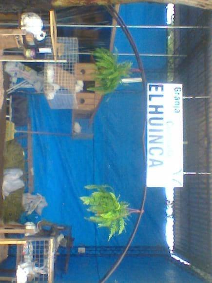 8O" exposicion rural Huinca Renanco 2014