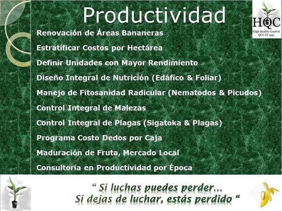 Procesos en Mejora de la Productividad