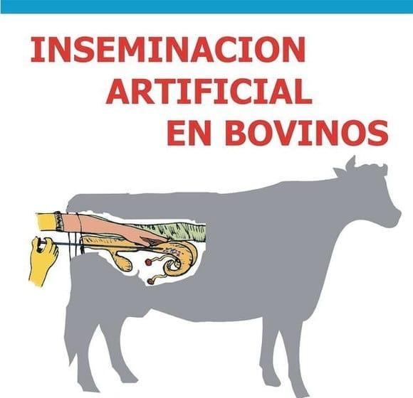 costos para realizar una inseminacion bovina