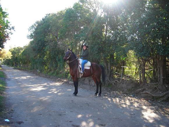 PANCHO Y YO