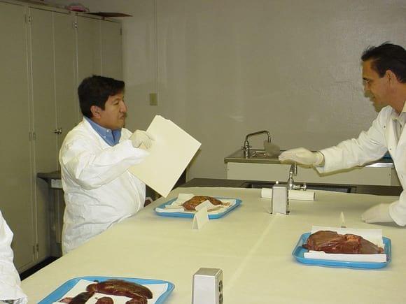 ANALIZANDO ÓRGANOS Y DICTAMEN