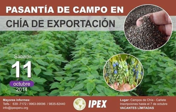 pasantia en chia de exportación 2014