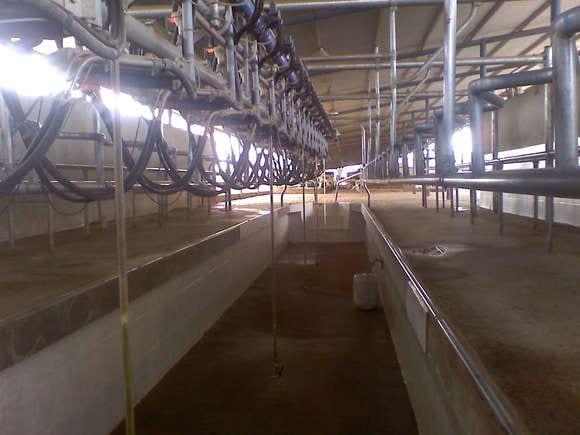 Tambo La Feria