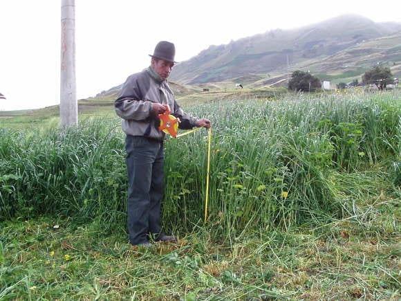 Mejoramiento de la producción de pastos