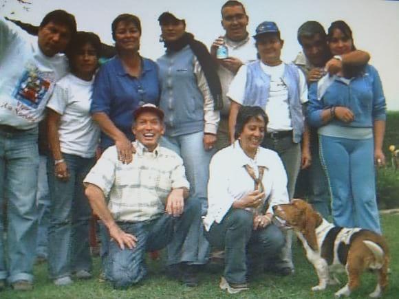 Curso de apicultura