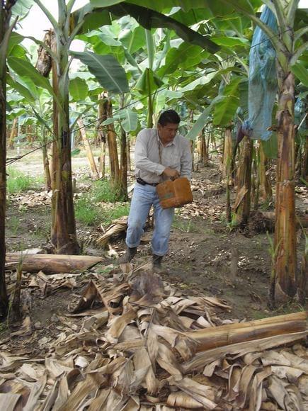 APLICANDO LAS 3 PROPIEDADES DEL SUELO