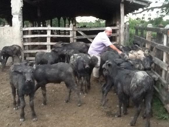 Finca rancho lindo