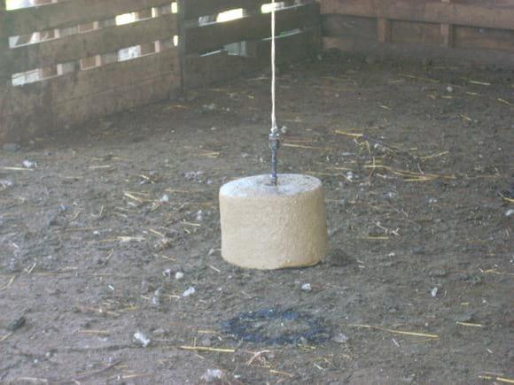 SALES COLGANTES PARA EVITAR QUE LAMUERDAN