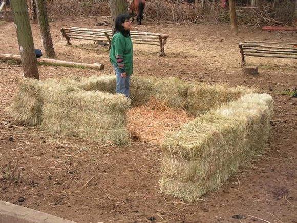 preparación de abrigo a campo para corderos recién nacidos