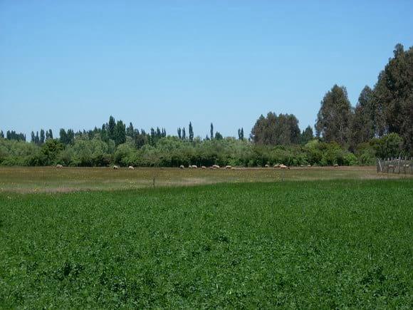PAISAJE  SAN IGNACIO