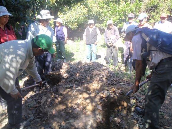 agregando estiércol