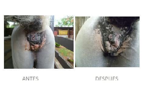 MELANOMA III- ALBUM-