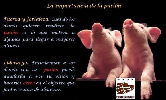 La importancia de la pasión 2