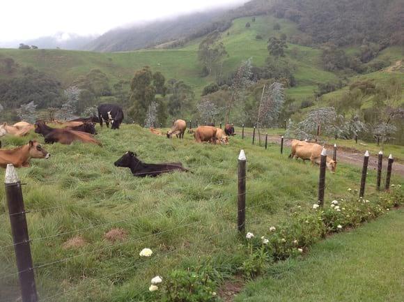 Finca la santa María