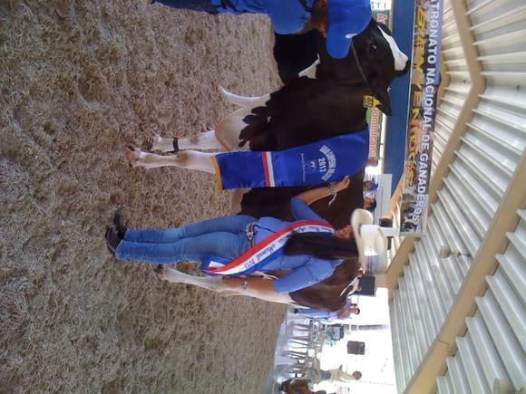 Gran Campeona Holstein
