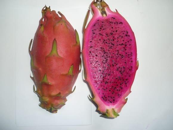 Pitahaya de pulpa solferina