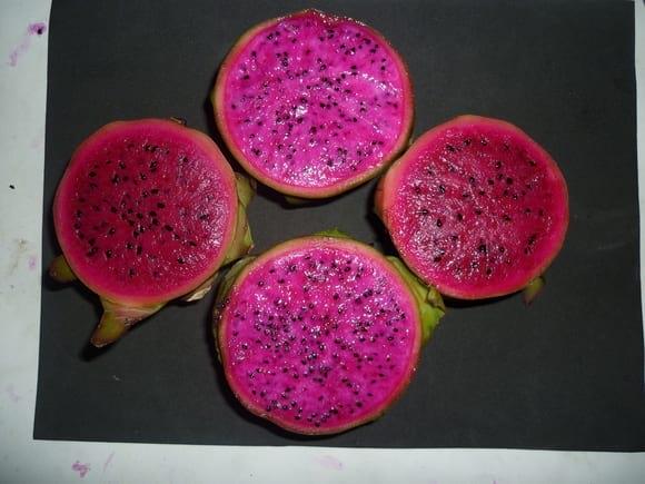 Frutos de dos genotipos diferentes de pitahayas de pulpa solferina