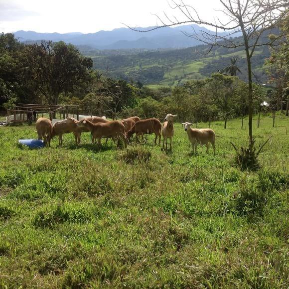 Finca experimental El Rocío