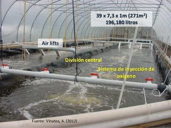 BIOFLOCS SYSTEM