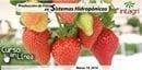 7Agricultura
