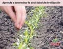 31Agricultura