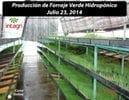 53Agricultura