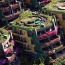 60Agricultura