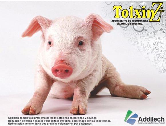 Tolxin Z+