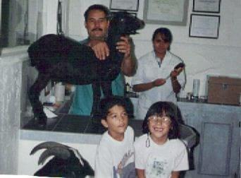 Clinica Veterinaria
