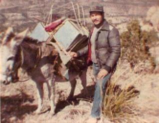Burro