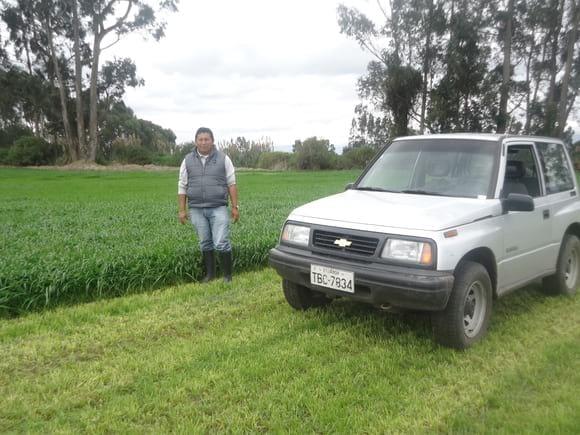Manejo de Reygrass Perenne