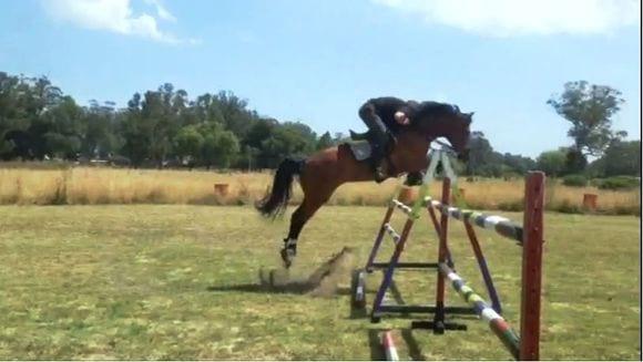 Areco Gouin Argentina Horses