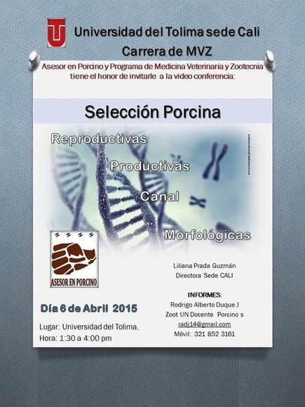 Video Conferencia