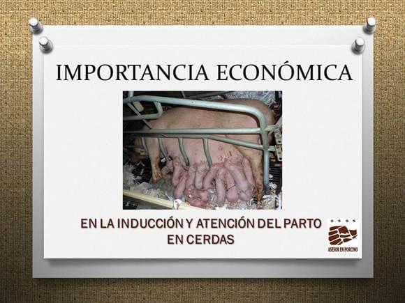 IMPORTANCIA ECONÓMICA EN LA INDUCCIÓN Y ATENCIÓN DEL PARTO